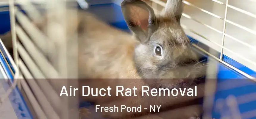  Air Duct Rat Removal Fresh Pond - NY