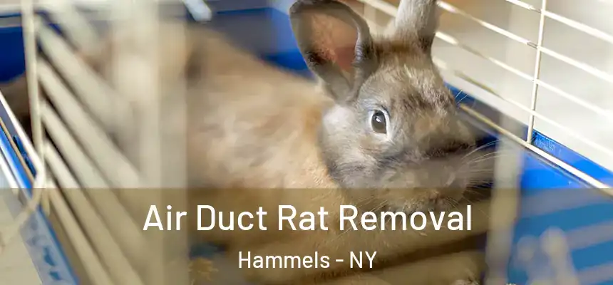 Air Duct Rat Removal Hammels - NY