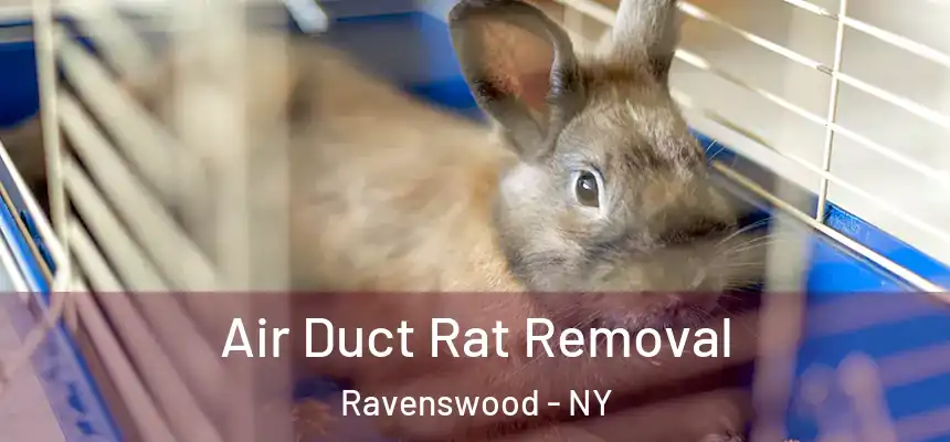 Air Duct Rat Removal Ravenswood - NY