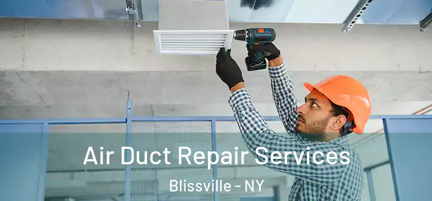  Air Duct Repair Services Blissville - NY