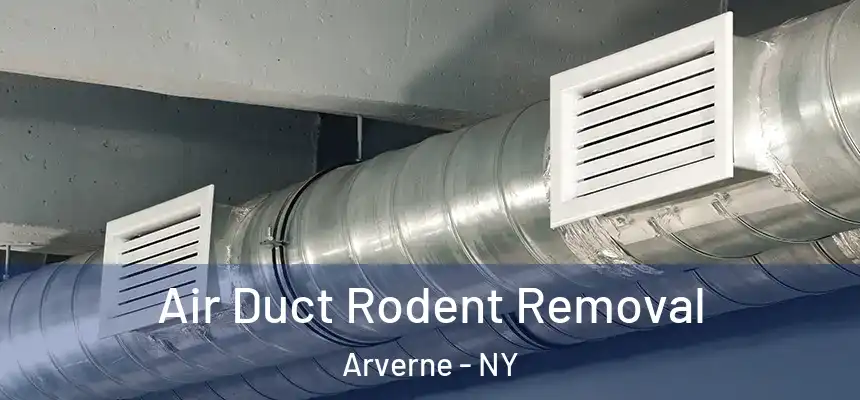  Air Duct Rodent Removal Arverne - NY