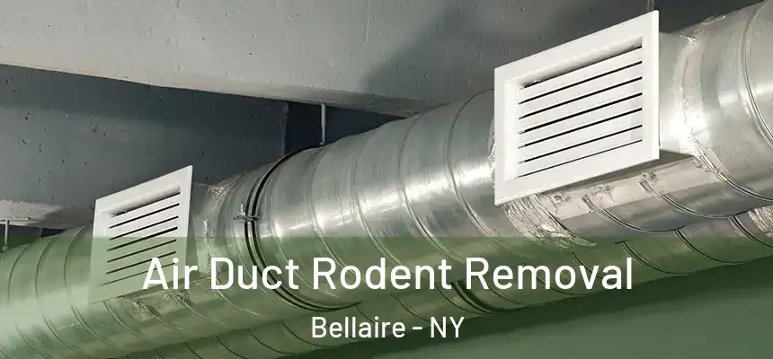 Air Duct Rodent Removal Bellaire - NY