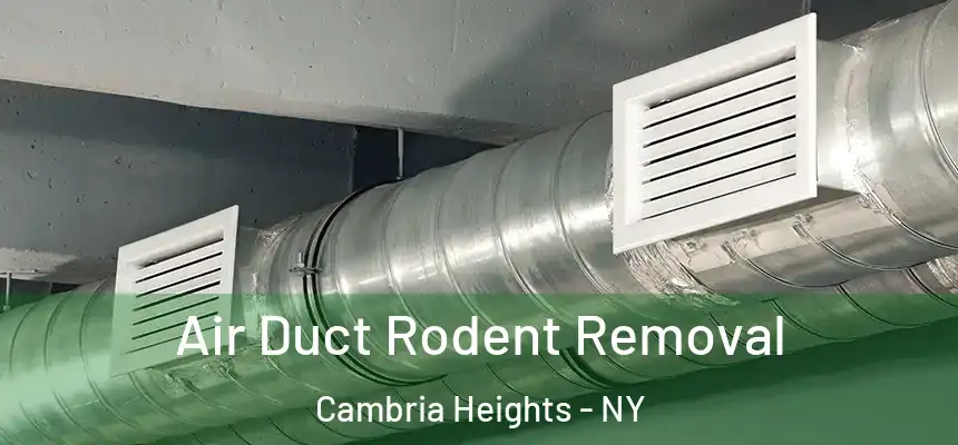  Air Duct Rodent Removal Cambria Heights - NY