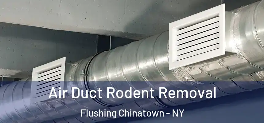  Air Duct Rodent Removal Flushing Chinatown - NY