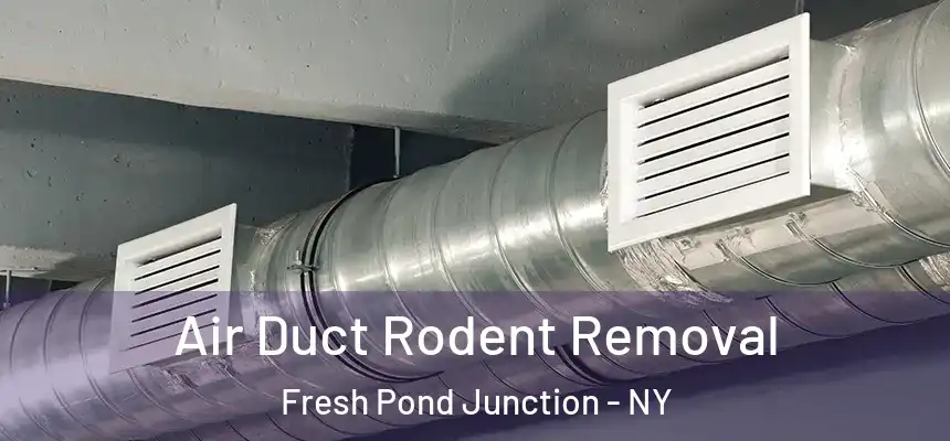Air Duct Rodent Removal Fresh Pond Junction - NY