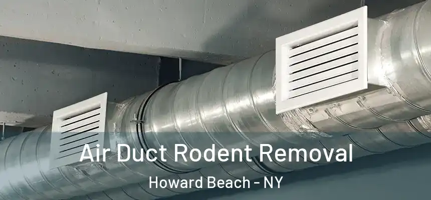 Air Duct Rodent Removal Howard Beach - NY