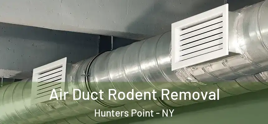  Air Duct Rodent Removal Hunters Point - NY