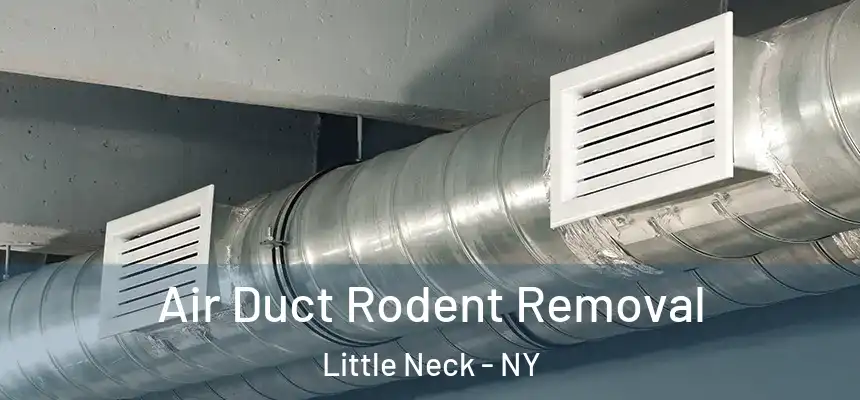  Air Duct Rodent Removal Little Neck - NY