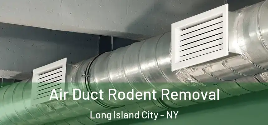 Air Duct Rodent Removal Long Island City - NY