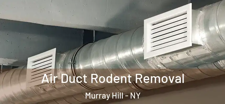  Air Duct Rodent Removal Murray Hill - NY