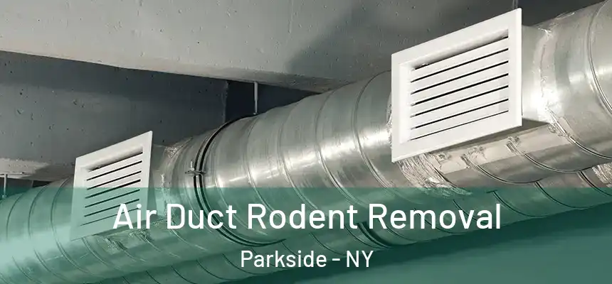 Air Duct Rodent Removal Parkside - NY
