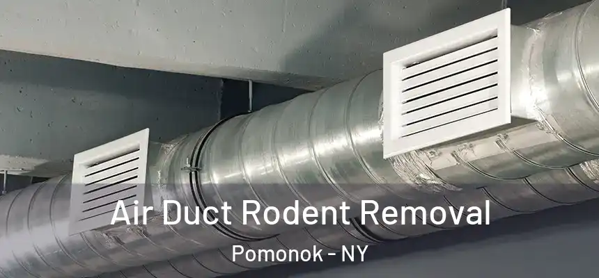Air Duct Rodent Removal Pomonok - NY
