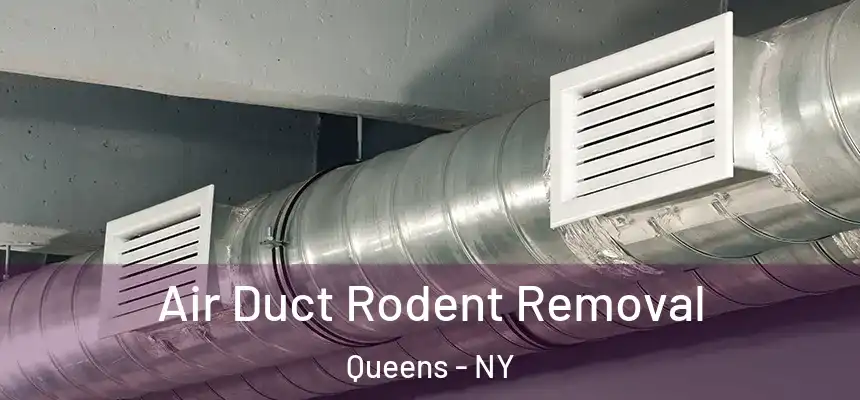  Air Duct Rodent Removal Queens - NY