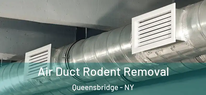 Air Duct Rodent Removal Queensbridge - NY