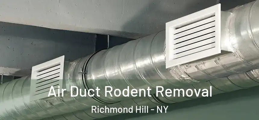  Air Duct Rodent Removal Richmond Hill - NY