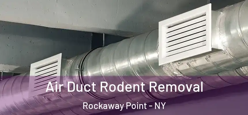  Air Duct Rodent Removal Rockaway Point - NY