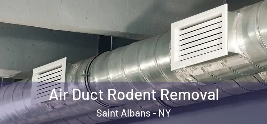  Air Duct Rodent Removal Saint Albans - NY