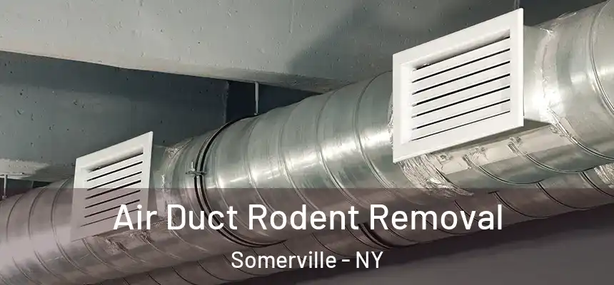  Air Duct Rodent Removal Somerville - NY