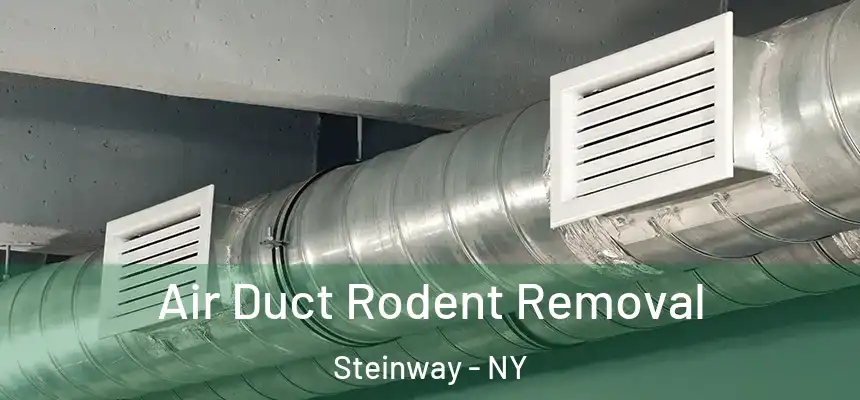 Air Duct Rodent Removal Steinway - NY