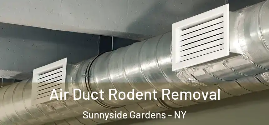  Air Duct Rodent Removal Sunnyside Gardens - NY