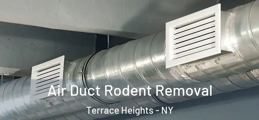  Air Duct Rodent Removal Terrace Heights - NY