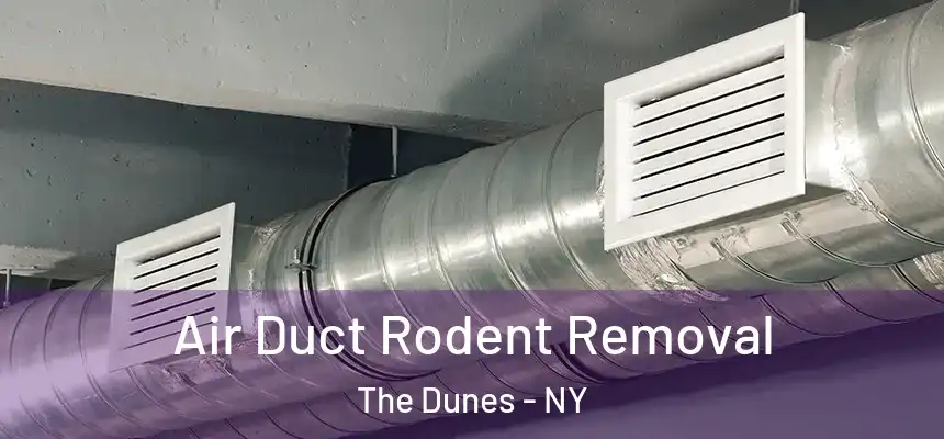 Air Duct Rodent Removal The Dunes - NY