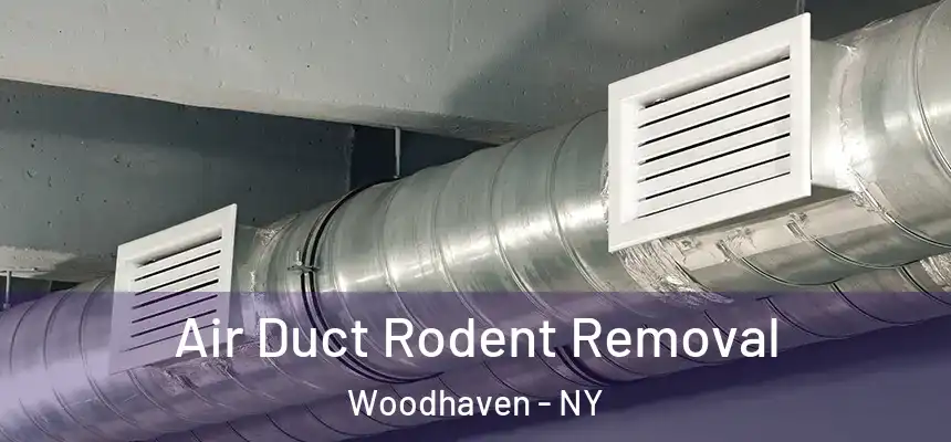  Air Duct Rodent Removal Woodhaven - NY