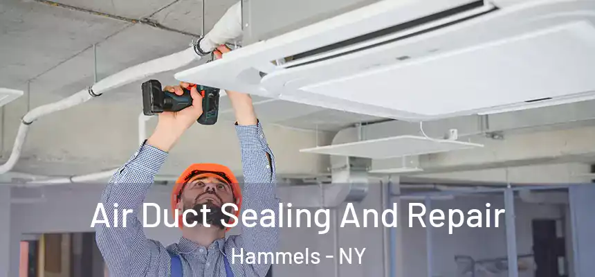  Air Duct Sealing And Repair Hammels - NY