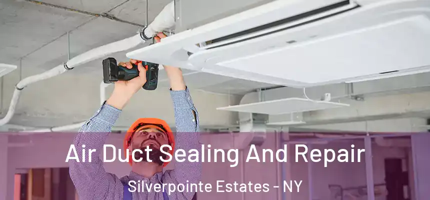  Air Duct Sealing And Repair Silverpointe Estates - NY