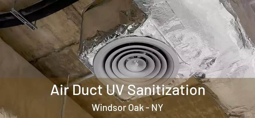  Air Duct UV Sanitization Windsor Oak - NY