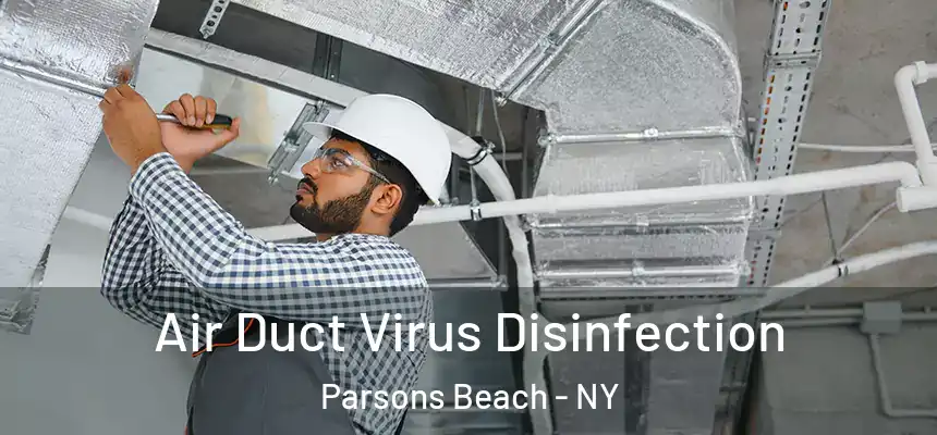  Air Duct Virus Disinfection Parsons Beach - NY