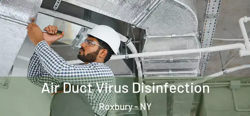  Air Duct Virus Disinfection Roxbury - NY