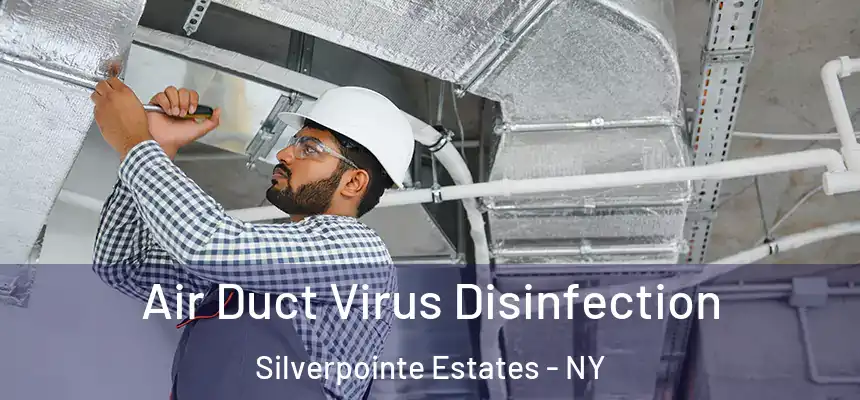 Air Duct Virus Disinfection Silverpointe Estates - NY
