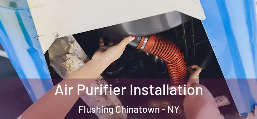 Air Purifier Installation Flushing Chinatown - NY
