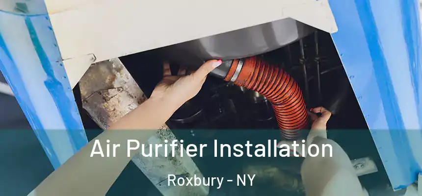  Air Purifier Installation Roxbury - NY