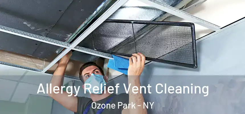 Allergy Relief Vent Cleaning Ozone Park - NY