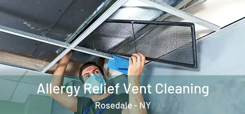  Allergy Relief Vent Cleaning Rosedale - NY