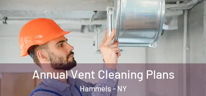 Annual Vent Cleaning Plans Hammels - NY