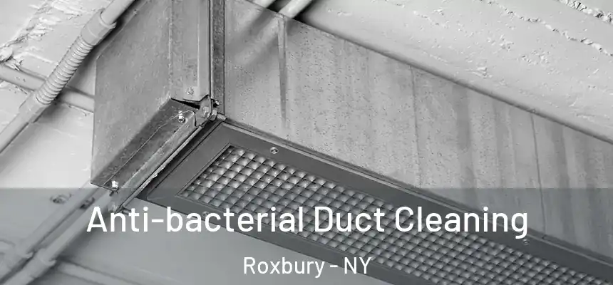 Anti-bacterial Duct Cleaning Roxbury - NY