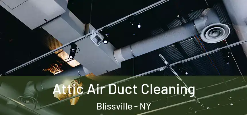  Attic Air Duct Cleaning Blissville - NY