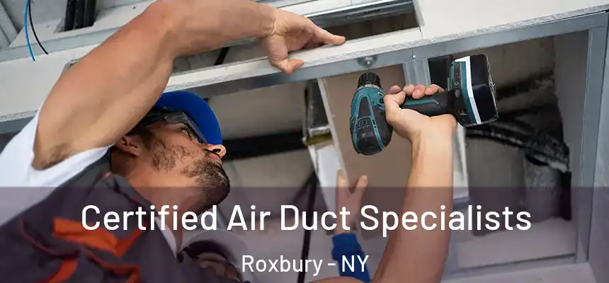 Certified Air Duct Specialists Roxbury - NY