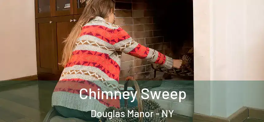  Chimney Sweep Douglas Manor - NY