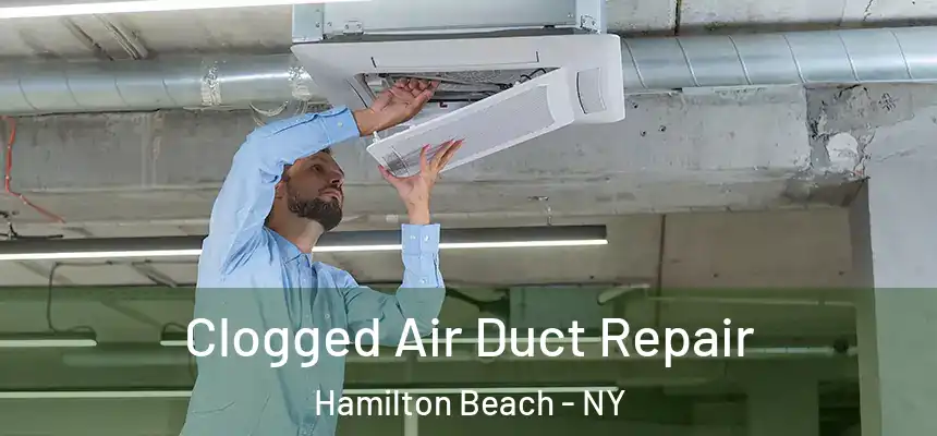  Clogged Air Duct Repair Hamilton Beach - NY