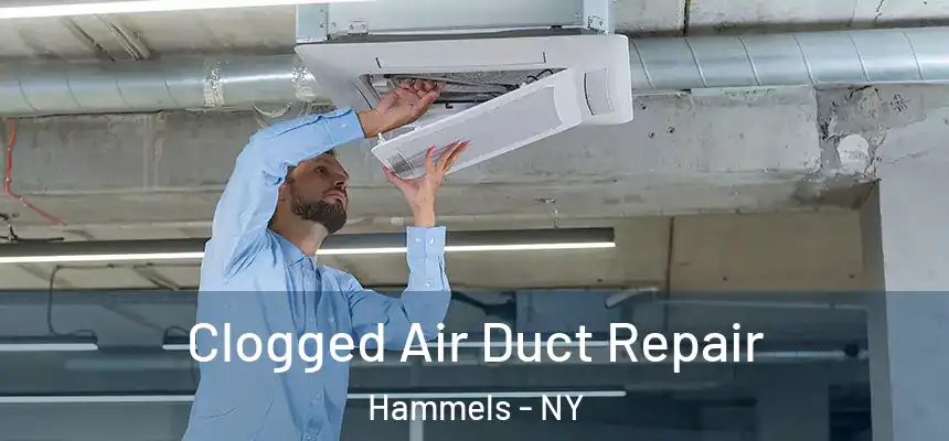  Clogged Air Duct Repair Hammels - NY