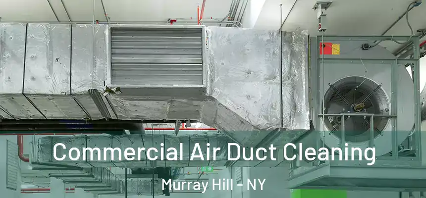  Commercial Air Duct Cleaning Murray Hill - NY