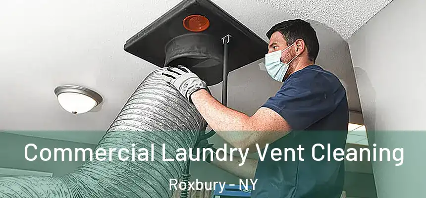  Commercial Laundry Vent Cleaning Roxbury - NY