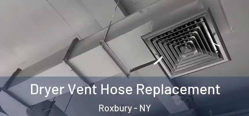 Dryer Vent Hose Replacement Roxbury - NY