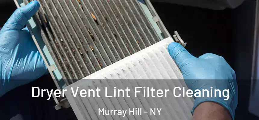  Dryer Vent Lint Filter Cleaning Murray Hill - NY
