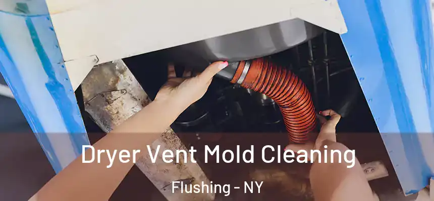 Dryer Vent Mold Cleaning Flushing - NY