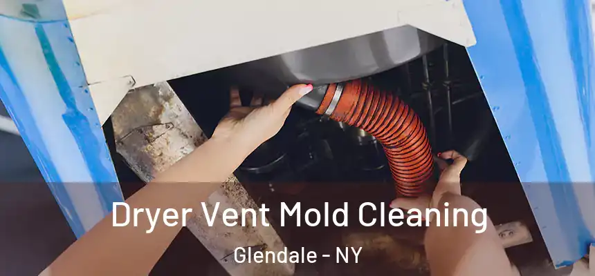  Dryer Vent Mold Cleaning Glendale - NY